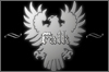 falk luxury sports